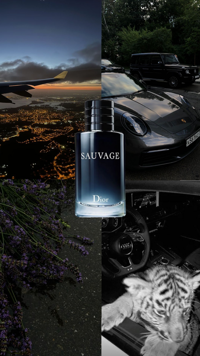 Sauvage Dior 100 ml Eau de Parfum [Pure] - Image 3