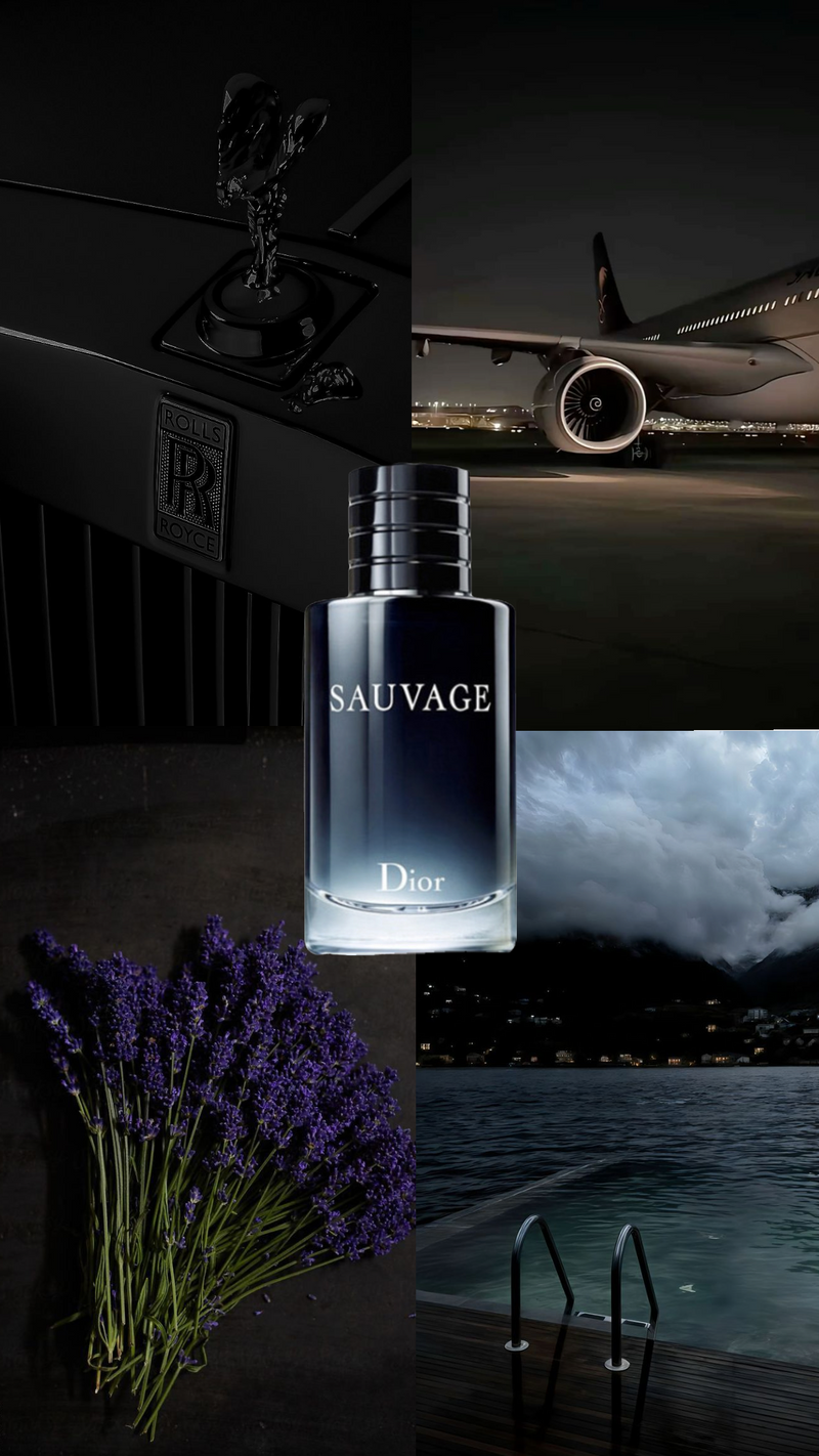 Sauvage Dior 100 ml Eau de Parfum [Pure] - Image 4