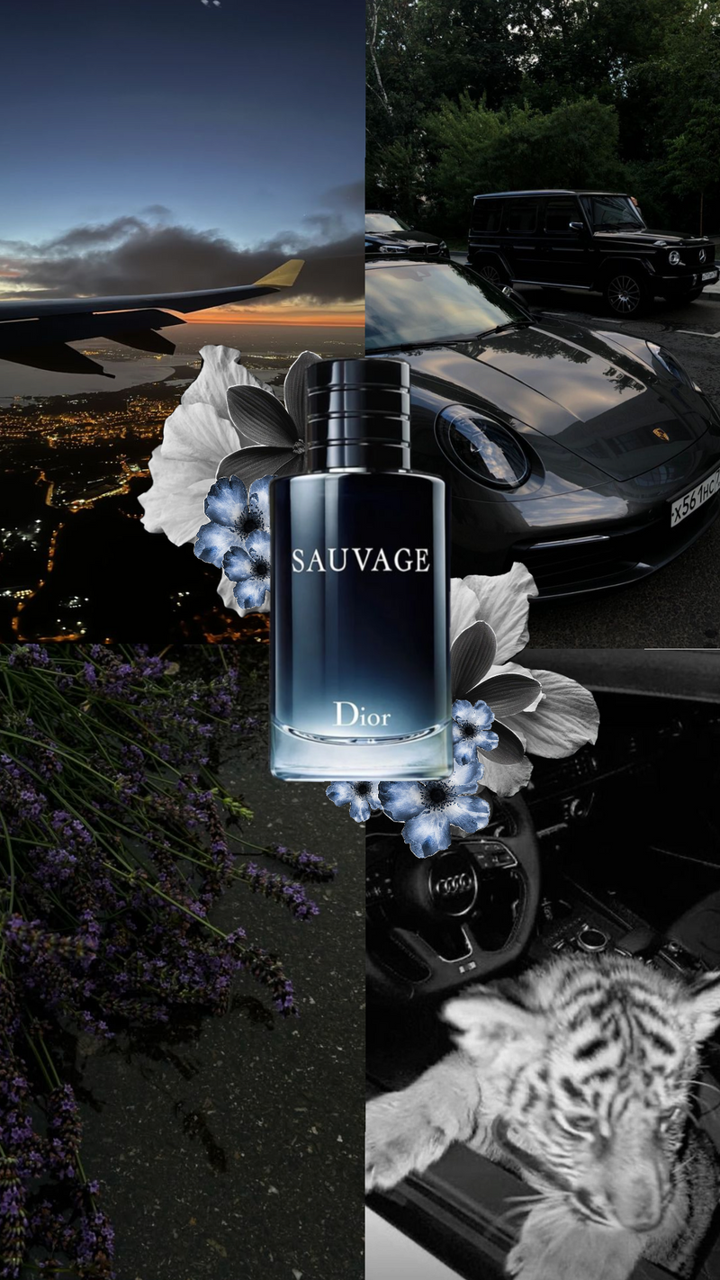 Sauvage Dior 100 ml Eau de Parfum [Pure] - Image 5